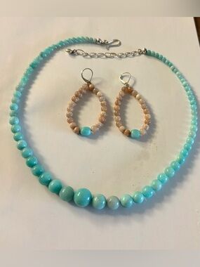 Jay King Amazonite graduated gemstone beaded Necklace and Earring Set